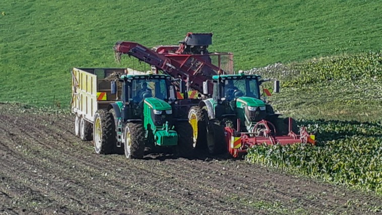 beet harveting fb v2