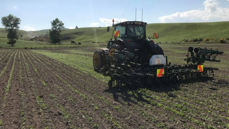 Interrow Weeder | CMC Contracting