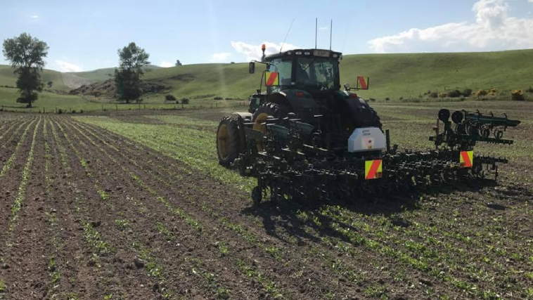 Interrow weeder photo v2